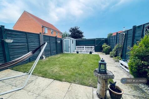 Back Garden 