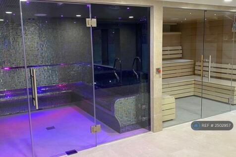 Sauna/Steam Room