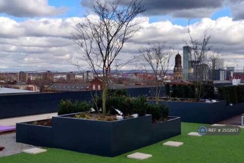 Rooftop Garden