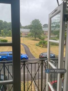 The View