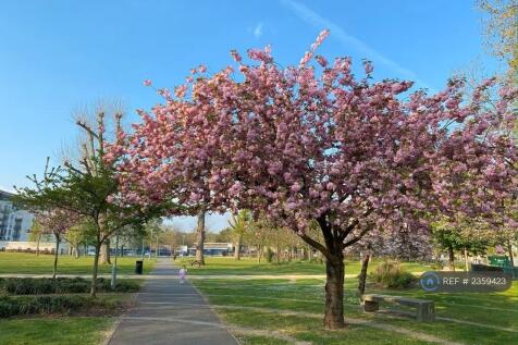 Spa Gardens (1 Min Walk)