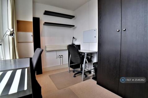 Study Area