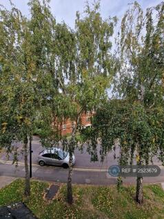 View From Bedroom
