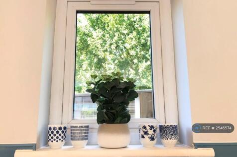 Pretty Kitchen Window