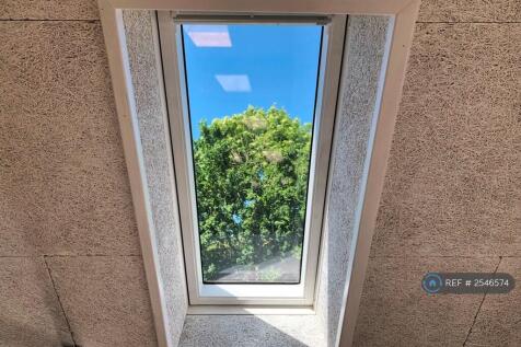 Views Of Trees From All The Mezzanine Windows