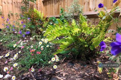 Easy Care Garden Planting By Wild Thyme Oxford
