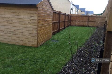 Shed And Garden