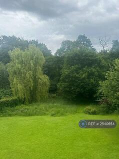 Garden From Upstairs Bedroom