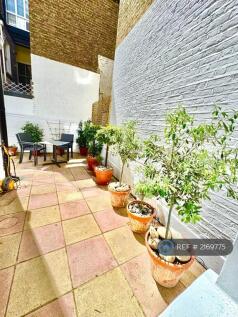 Patio Garden