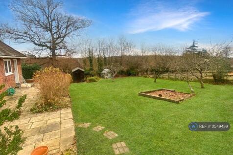 Back Garden 