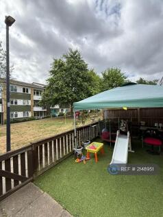 Back Garden 