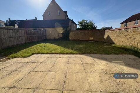 Back Garden