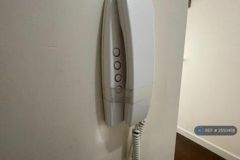 Secure Entry Phone