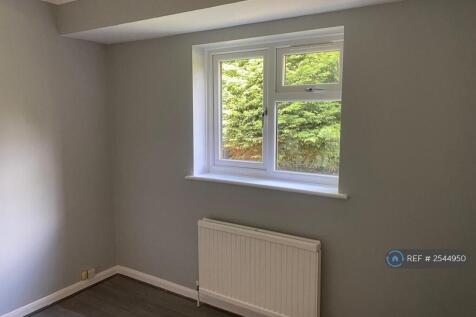 Downstairs Room 