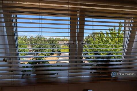 The View From The Kitchen Window