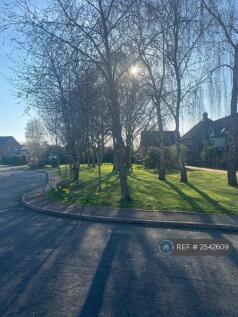 Green Area In Front Of House