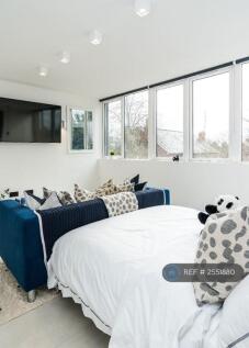 Panoramic Windows
