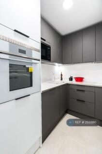 Contemporary Kitchen
