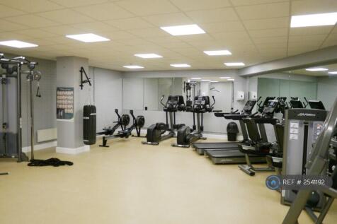 Gymnasium