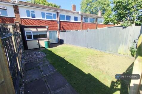 Back Garden