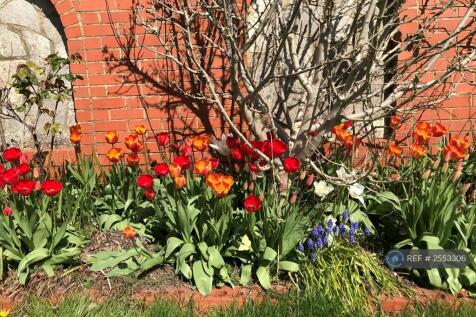 Spring Time