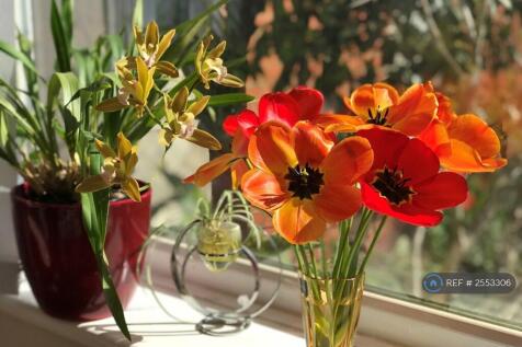 Home-Grown Flowers