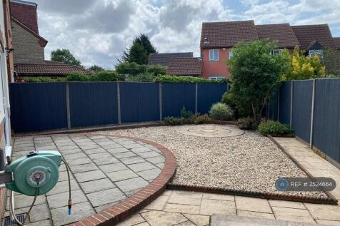 Back Garden 1