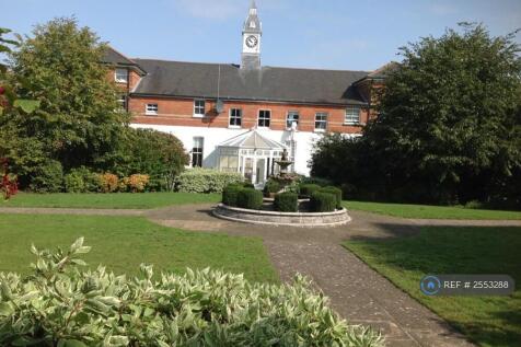 Communal Garden 