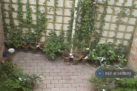 Court Yard Garden
