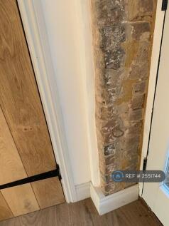 Some Exposed Features.