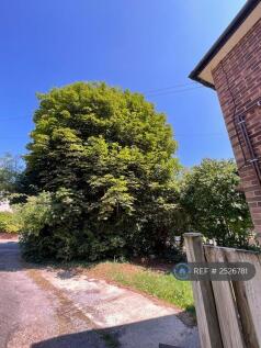 Garden Tree