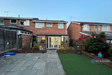 Back Garden