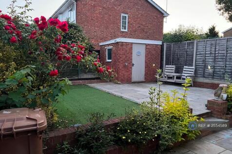 Back Garden