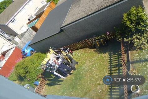 Back Garden