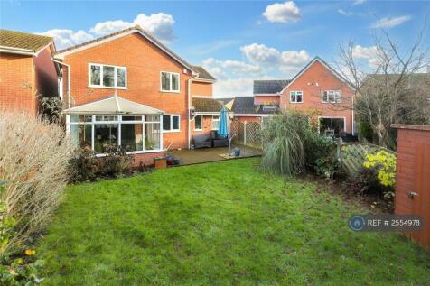 Back Garden