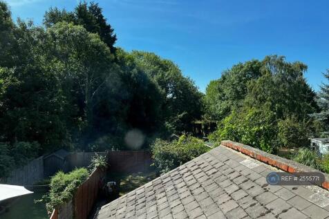 Leafy Rear Outlook