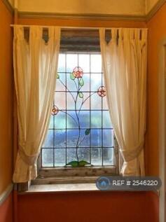 Stained Glass 1