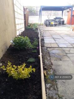 Garden - Pic 2