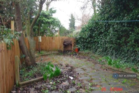 Back Garden