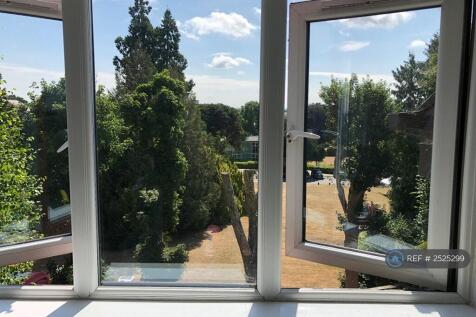 View From Kitchen Window