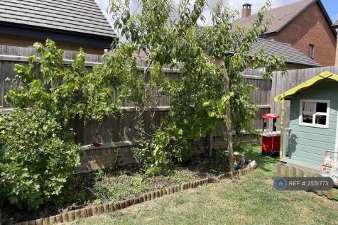 Garden (Fruit Trees)