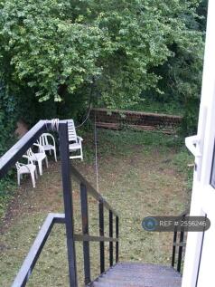 South Facing Garden