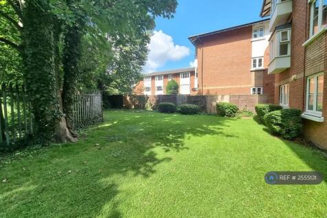 Secluded Shared Garden Behind Apartment Building