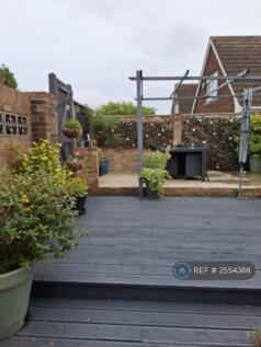 Back Garden 