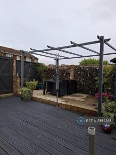 Back Garden