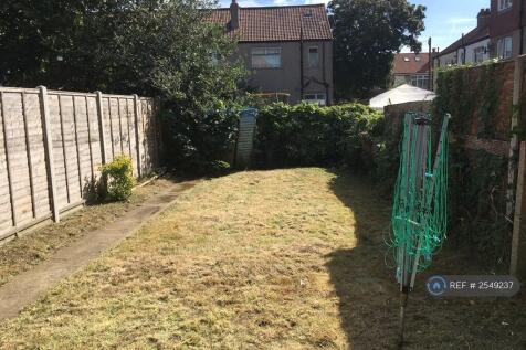 Back Garden 