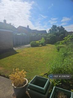 Back Garden And Patio