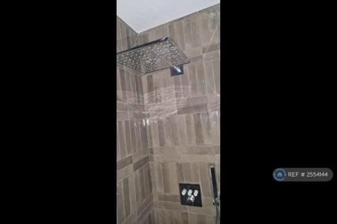 Bathroom Shower Controls