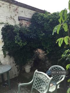 Patio Garden 