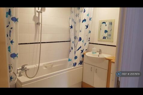 Bath &#43; Shower